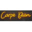 Enseigne néon Carpe Diem - 28 po x 8 po