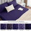 My Home Store Gylfi 300 Thread Count Egyptian-Quality Cotton Percale Fitted Sheet-773707527-773707579