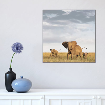 Colour Elephant & Calves by Klaus Tiedge - Print on Canvas