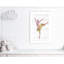 Ballet toute la journée 3-48187467-48187465