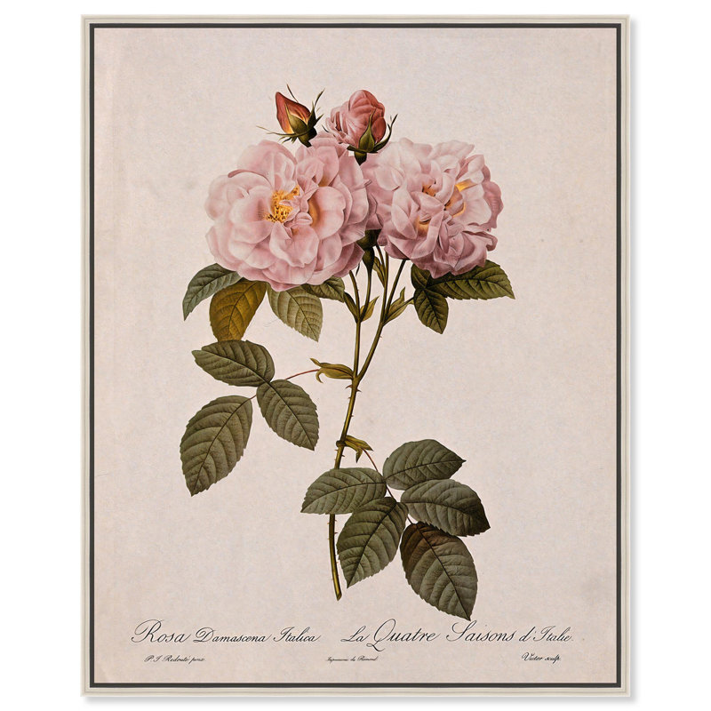 Toile damassée rose par Art Remedy, Noir, H 21 po x l 17 po, Cadre flottant