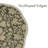 Fabdivine 15"Scalloped Charm Dining Set - Manikarnika