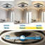 Ceiling Fan with LED Lights