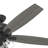 60" Dondra 5 - Blade Fan With Lights and Pull Chains-85433810