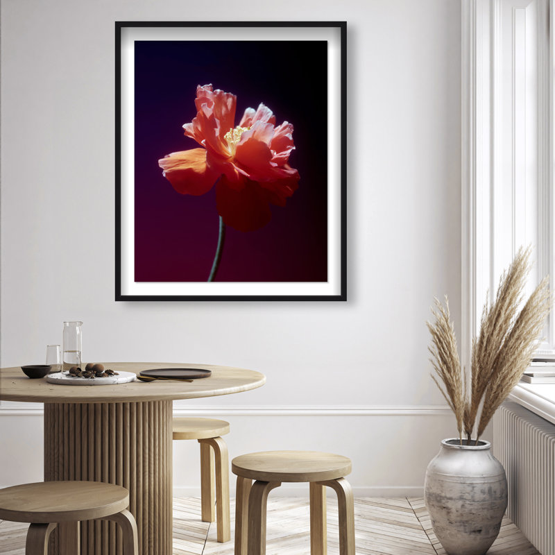 Taffeta Twilight II Framed Graphic Art, 21.5"H x 17.5"W, Black Shadowbox