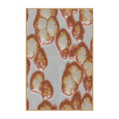 Tapis brun