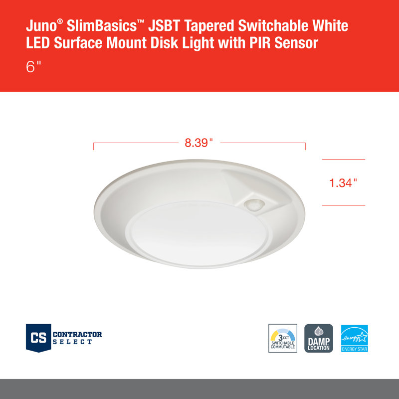 LED Flush Mount