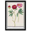 «Red and Pink Peony Botanical Study» par Birch Lane ™ - reproduction de cadre photo-68916647-68916641