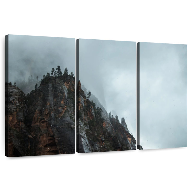Alvord Foggy Rocky Mountain Peak, H 24 po x l 38 po