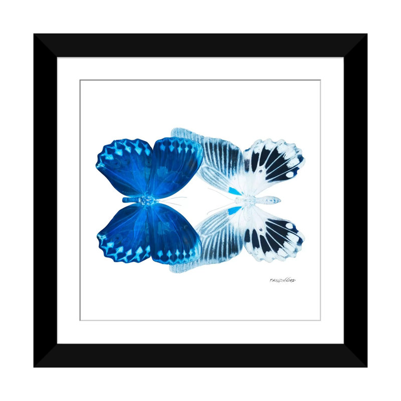 « misse papillon x-ray xiii », reproduction d’impression sur toile, H 16 po x l 16 po x P 1 po, Papier d'art encadré noir