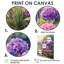 Hydrangeas and Lavender Garden II - Hydrangea, reproduction d'art sur toile encadrée-343492262-343492265-343492270