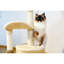Arbre à chat 32,7 po pour petits chats-117069279