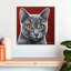 Crowle gris chat Oliver-111888321