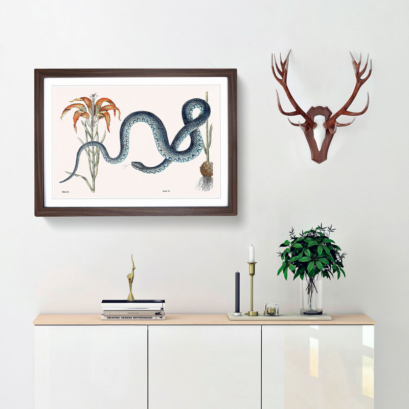 Blue Wampum Snake by Mark Catesby - Picture Frame Painting Print, 62cm H x 87cm W x 2cm D, Walnut Framed