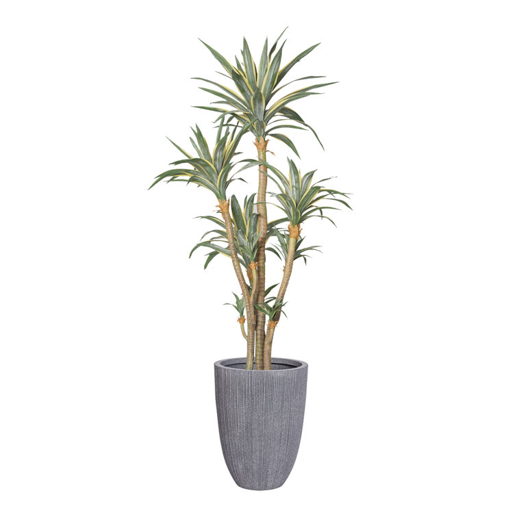 93.1'' Faux Agave Tree in Pot