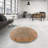 Oriental Brown/Light Blue Area Rug-2143268314