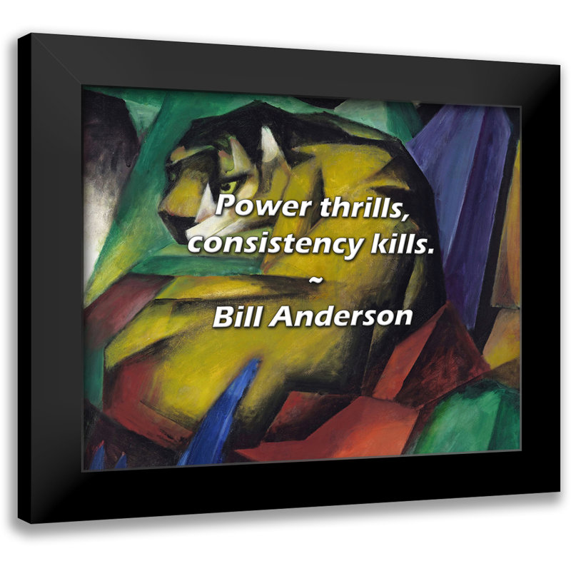 Bill Anderson Quote: Power thrills, consistency kills.