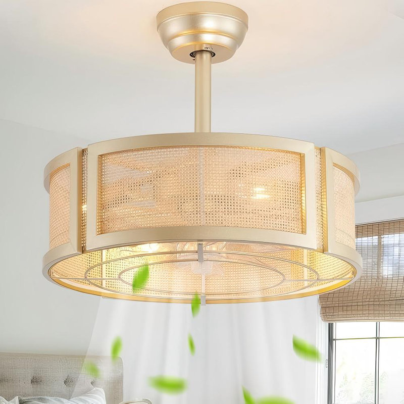 Blashford 19.6" Caged Ceiling Fan with Lighting Kit and Remote, Gold