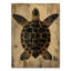 Tortue dorée - Affiche murale en bois sur le thème de la mer-1570820117-1570820106