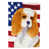 Épagneul cavalier King Charles 3 sélectionné