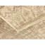 Hand-Knotted High-Quality Beige Area Rug