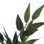Plante artificielle, 47 po de haut, acacia, intérieur, faux, faux, plancher, verdure, pot, soie, décoratif, feuilles vertes, pot noir