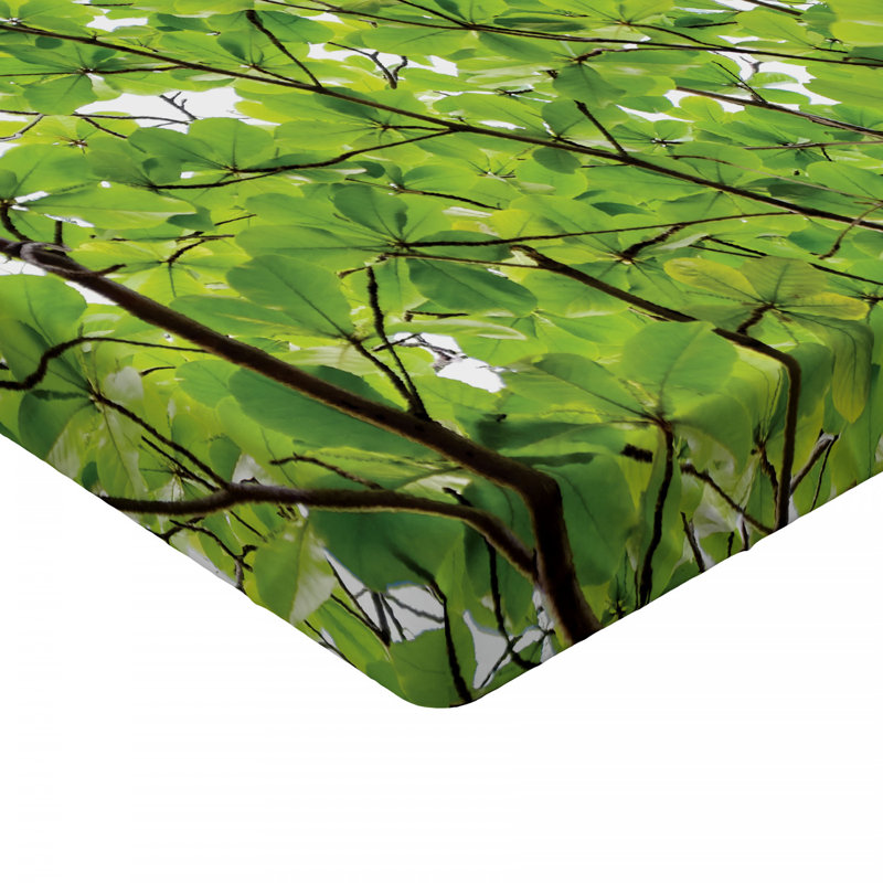 Drap-housse pour feuilles, Drap-housse de taille double