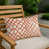 Beige Trellis 349