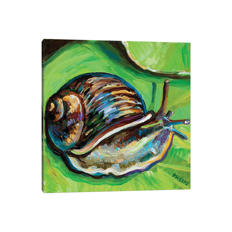 Garden Snail by Robert Phelps - Wrapped Canvas Gallery-Wrapped Canvas Giclée, 93.98 cm H x 93.98 cm W x 1.91 cm D