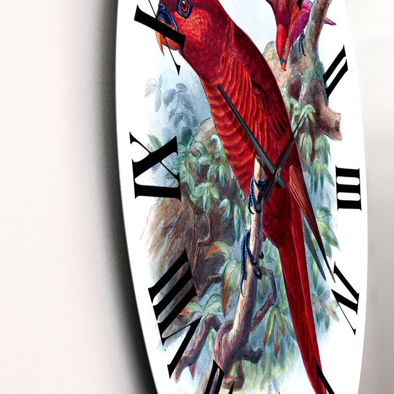 Perroquet rouge sur une branche dans la jungle - horloge murale traditionnelle, Grand