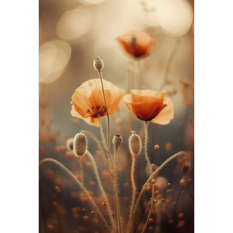 Wrapped Canvas Print, 50.8 cm H x 76.2 cm W