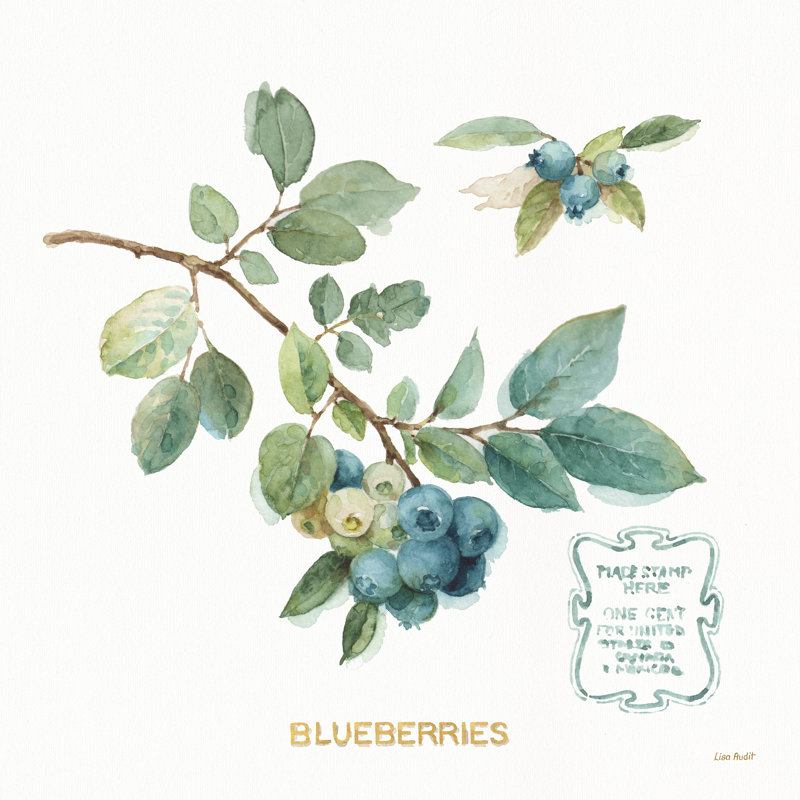 «My Greenhouse Fruit II» par Lisa Audit - Reproduction d'art sur toile non encadrée, H 36 po x l 36 po