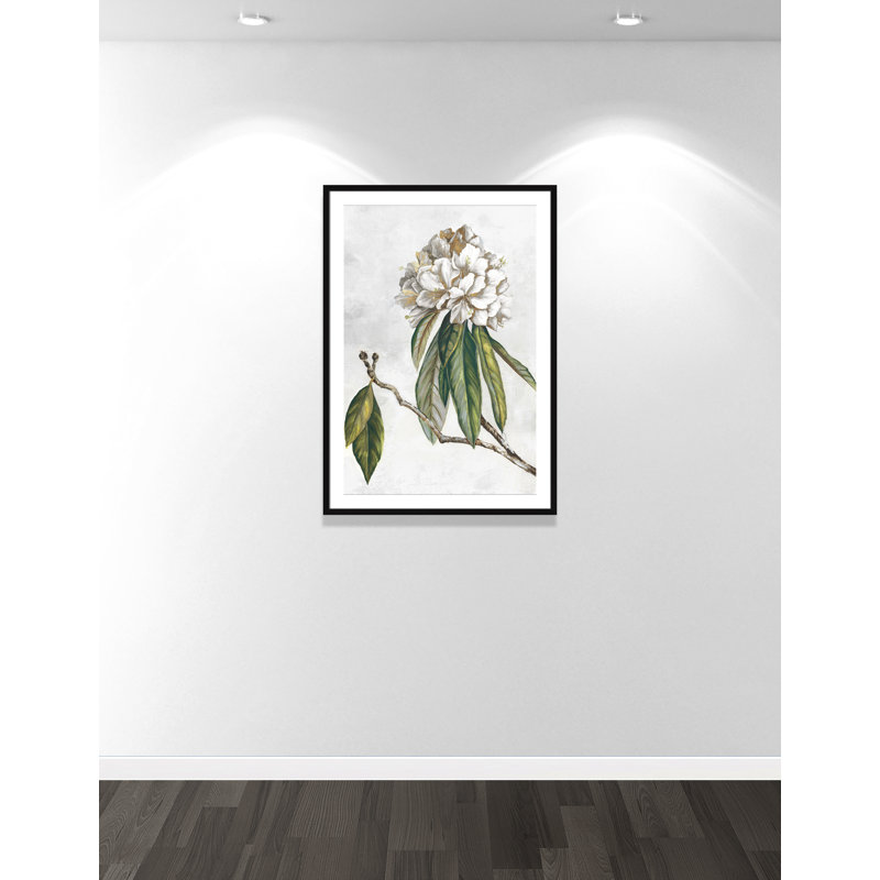 «Pearly Beauty II» par Eva Watts, L 29,5 po x H 41,5 po, Imprimé mat, Satin Black