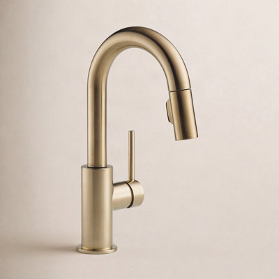 Trinsic Pull-Down Bar Faucet