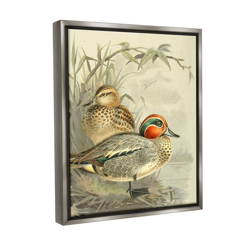 «Ducks with Pond Botanicals», art mural sur toile flottante par Gail Fraser, H 31 po x l 25 po, Cadre flottant gris lustré