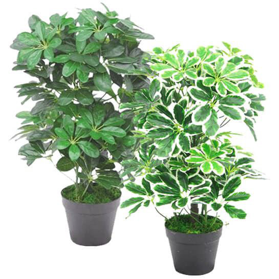 55cm Faux Plant in Pot Liner