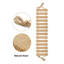 Cat Climbing Rope Ladder