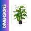95cm Faux Evergreen Plant in Freestanding