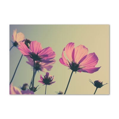 Pink Flowers - Wrapped Canvas Print