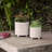 Charmayne Stoneware Ceramic Planter Set with Textured Design and Footed Base - Set of 2-1208997732