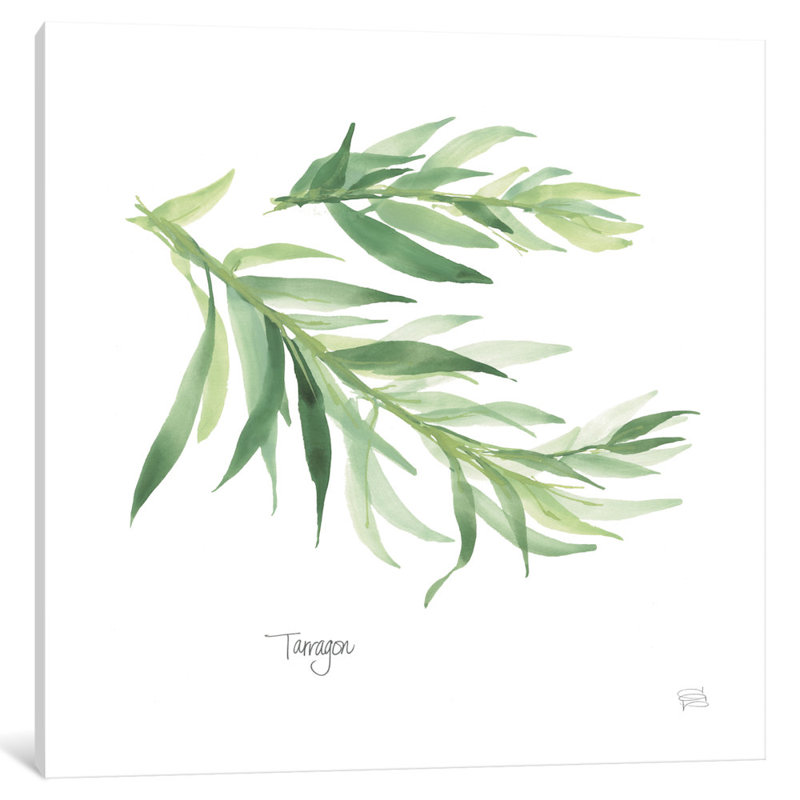 « elmwood », reproduction d’art sur toile, H 48 po x l 48 po x P 1,5 po, Toile tendue, Pas de tapis