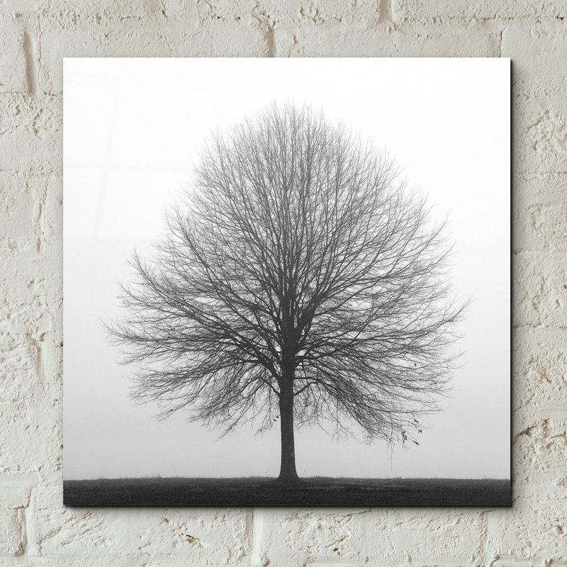 «Winter Trio I» par Nicholas Bell, photographie, H 12 po x l 12 po x P 0,13 po