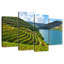 Alvord River Douro Vineyard-108837137
