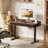Office Desk,Electric Standing Desk Whole-Piece Desktop 48 x 24 Inches,Computer Desk,Height Adjustable Desk with 3 Drawers Home Office Table with 3 Memory Preset-907731117-891253057