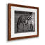 " Botswana Afternoon "-33906371-33906383