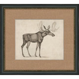 Antique Moose Painting