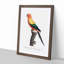Sun Parakeet by F. Levaillant - Picture Frame Painting Print-55613683-55613684