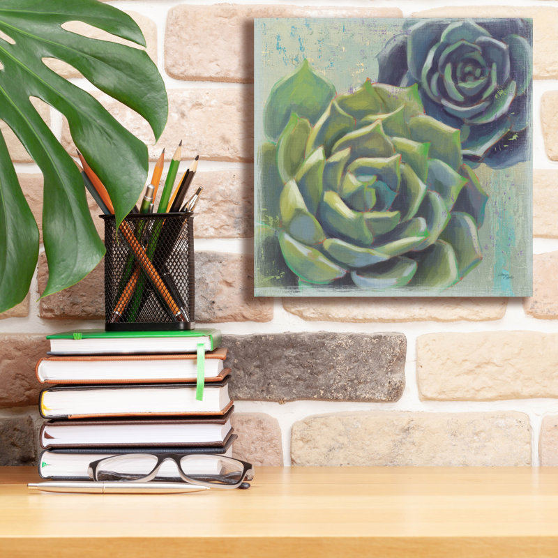 "Epic Graffiti" Succulents 1 "par Wellington Studio, art mural sur toile, H 12 po x l 12 po x P 0,75 po