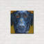 «Black Dog» par CR Townsend-169205282