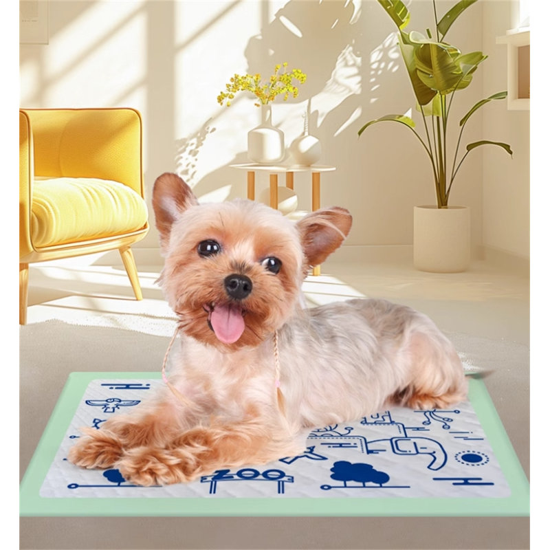 Tapis pour chien (ensemble de 100)
